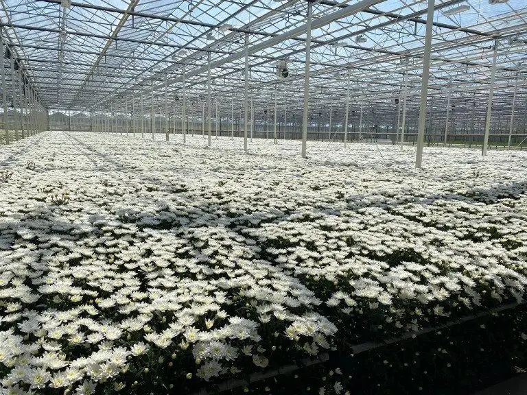 Virtual Grower Visit: Beyond