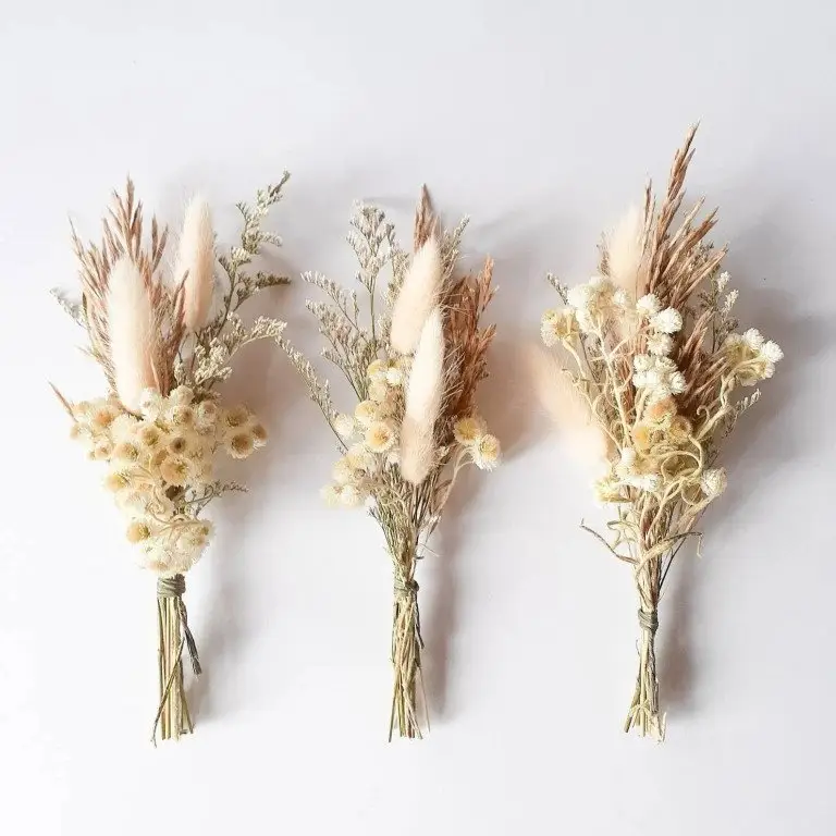 Dried Floral