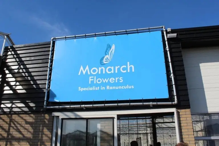 Virtual Grower Visit: Monarch Flowers