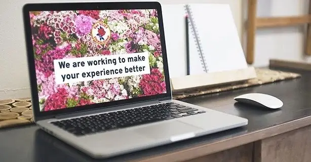 Webshop TIP