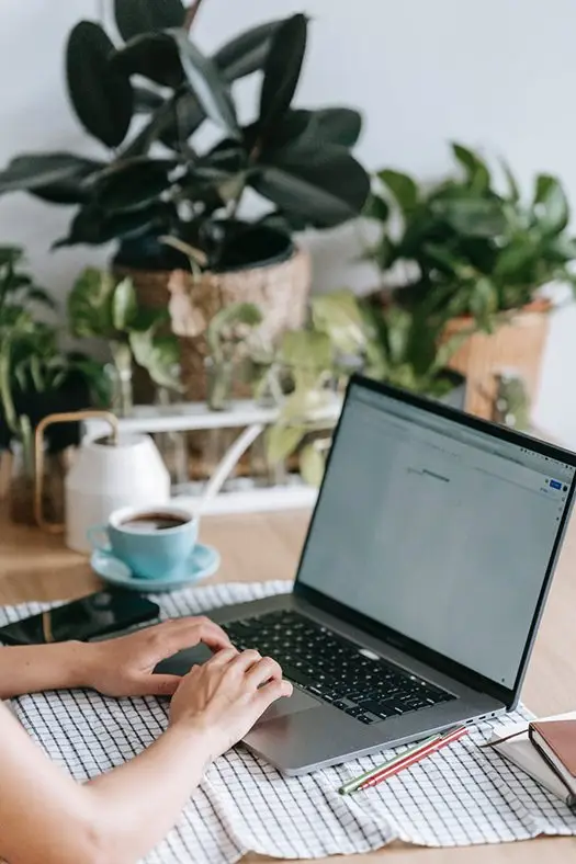 Accountmanager snijbloemen Oost Europa (Balkan)