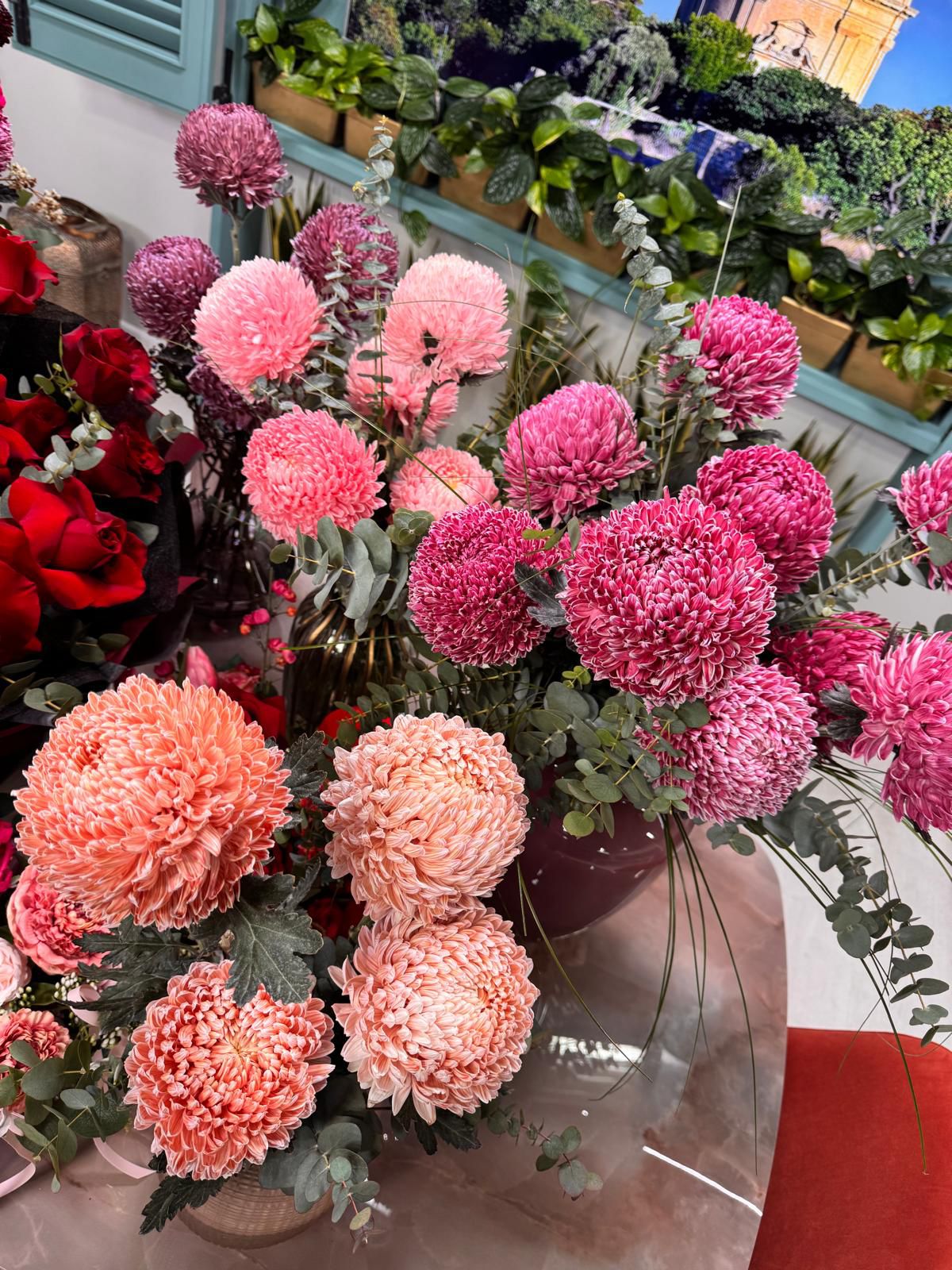 Malaysian Chrysanthemum