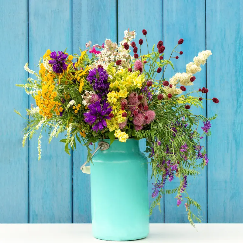 Summer flowers